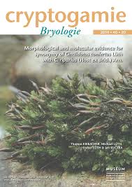 Attēlu rezultāti vaicājumam “Cinclidotus danubicus cells”