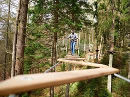 Image result for The Go Ape Experience (Swinley Forest)