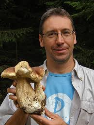 Attēlu rezultāti vaicājumam “Boletales”