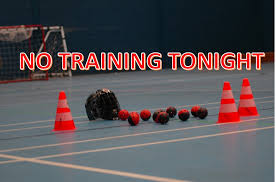 Image result for Basingstoke Demons Floorball Club