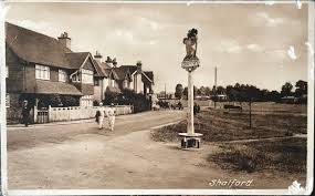 Image result for Shalford Cricket Club