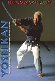 Image result for Yoseikan Budo England