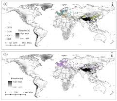 Attēlu rezultāti vaicājumam “Grapholita funebrana larva”