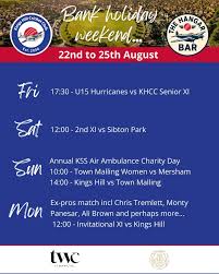 Image result for Sibton Park Cricket Club