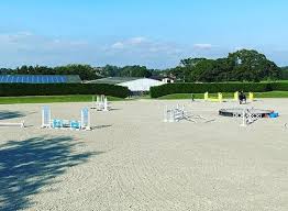 Image result for Abinger Forest Riding Club