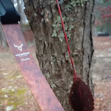 Image result for Panther Bowhunters Field Archery Club