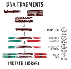 Image result for srsly