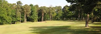 Image result for Chelmsford Gc