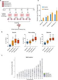 Attēlu rezultāti vaicājumam “Diderma ochraceum plasmodium”
