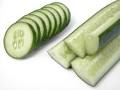 Cucumber | BigOven Food Glossary