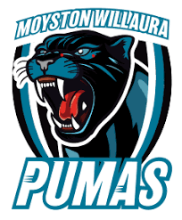 Image result for Pumas Netball Club