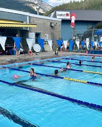 Image result for Gosport Dolphins Swimming Club
