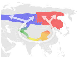 Attēlu rezultāti vaicājumam “Phylloscopus trochiloides adult”