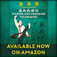 Image result for Tao So Choy Kung Fu Club, Hull