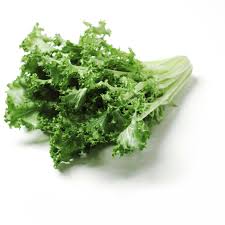 Image result for Endivie