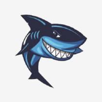 Image result for Sharks Swimming Club Of Mottingham