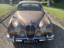 Image result for Golden Sand 1962 Jaguar