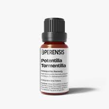 Image result for Potentilla tormentilla