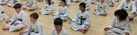 Image result for Surrey Taekwondo