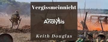 Image result for Vergissmeinnicht