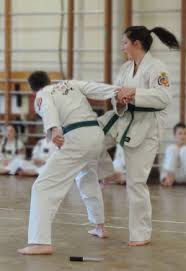 Image result for Combined self defence arts