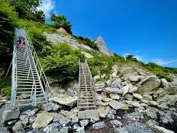 Image result for stevns klint