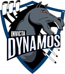Image result for Invicta Knights