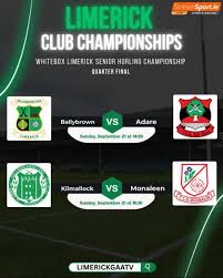 Image result for University Of Limerick Gaa Hurling Club