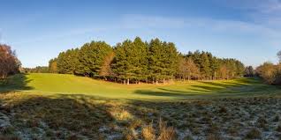 Image result for The Millbrook Golf Club , Bedfordshire