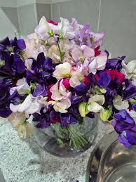 Image result for Sweet Pea Bowling Club