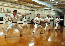 Image result for HEIWA SHOTOKAN KARATE CLUB