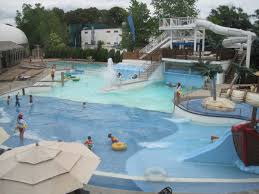 Image result for Downham & District Swimming Club