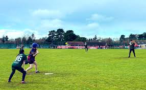 Image result for Thieves - The University Of Nottingham Baseball Club