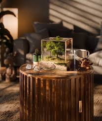 Image result for ton roosendaal