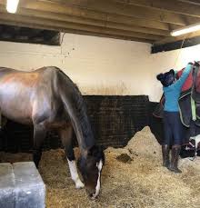 Image result for Civil Service Riding Club (Csrc)