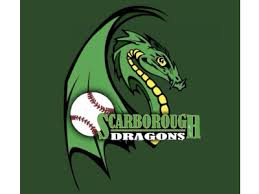 Image result for Dragons Softball Club
