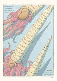 Attēlu rezultāti vaicājumam “Endoceras”