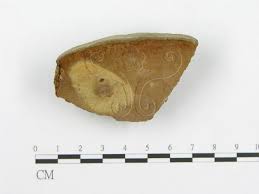 Attēlu rezultāti vaicājumam “Phellinus populicola”