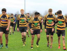 Image result for Ely Rugby Union Football Club