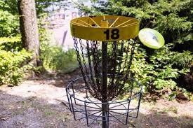 Image result for Bongos Disc Golf Club