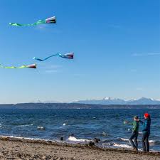 Image result for Poole Kite Fliers