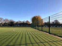 Image result for Thames Ditton Schools Fc