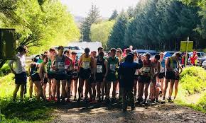 Image result for omagh harriers