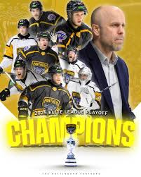 Image result for Nottingham Panthers