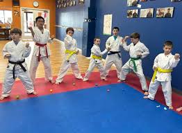 Image result for Cobra Karate Club