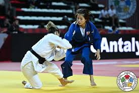 Image result for UTA Judo Club