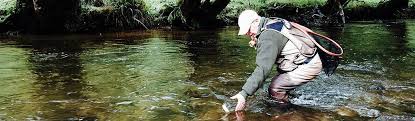 Image result for Dulverton Angling Association