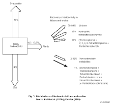 Attēlu rezultāti vaicājumam “Cinclidotus danubicus cells”