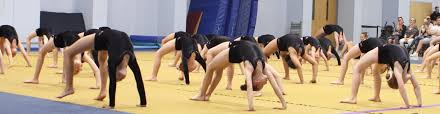 Image result for Kestrel Gymnastic Group