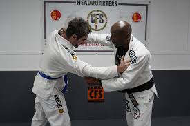 Image result for Intelligent Martial Arts